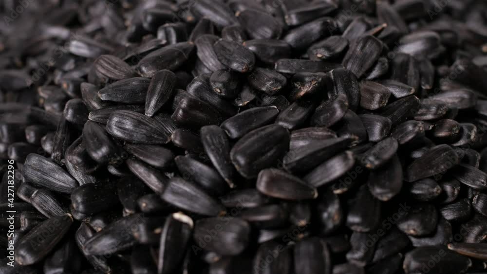 Sunflower seeds, rotation, close up, background Sunflower seeds, rotation, close up, background