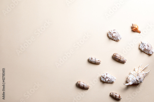 Wallpaper Mural summer composition with different seashells on beige background. copy space Torontodigital.ca
