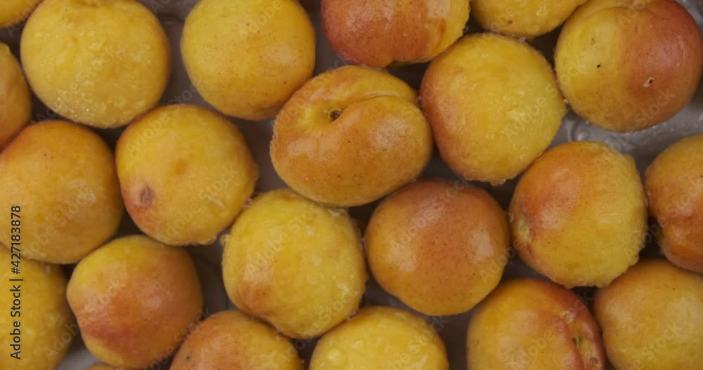 Rotation and zoom of a heap of apricots. Raindrops falling on apricots. Fruit background. Rotation and zoom of a heap of apricots. Raindrops falling on apricots. Fruit background.