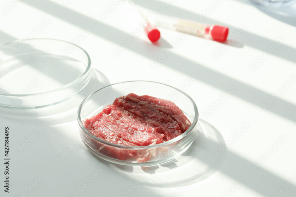 Petri dish with pieces of raw cultured meat on white table in laboratory, space for text Petri dish with pieces of raw cultured meat on white table in laboratory, space for text