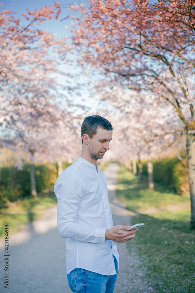 A young man speaks on the phone against the background of a blossoming sakura garden. Spring. A young man speaks on the phone against the background of a blossoming sakura garden. Spring.