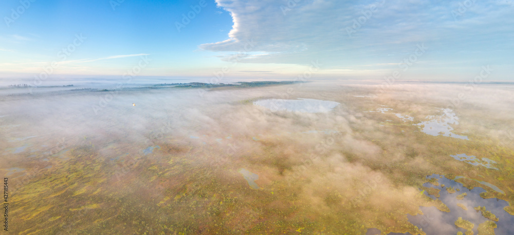 Aerial view of a raised bog