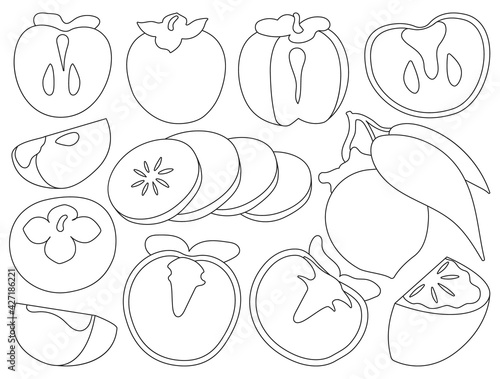 Persimmon vector illustration on white background. Isolated outline set icon fruit. Vector outline set icon persimmon.
