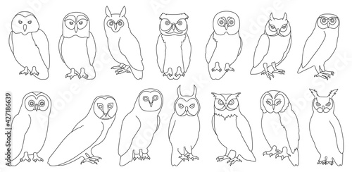 Owl bird outline vector set illustration of icon. .Vector set icon of animal owl. Isolated outline collection illustration of bird on white background.