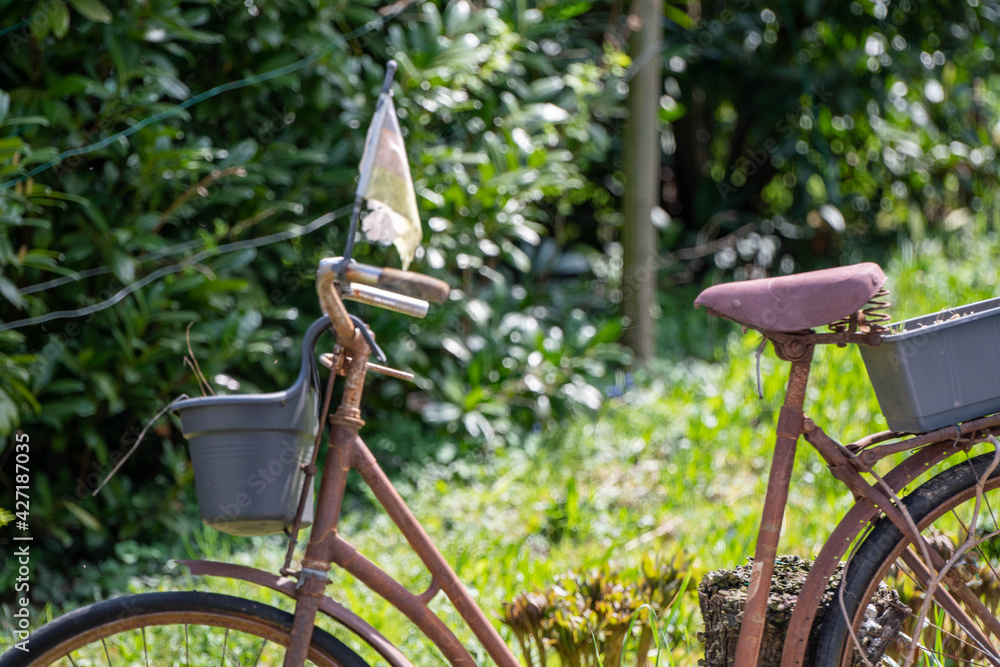 old pink bicycle as decoration in garden