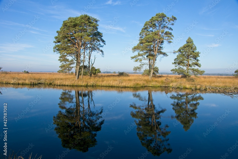 Reflecting pond in Dwingelderveld National Park in the Netherlands