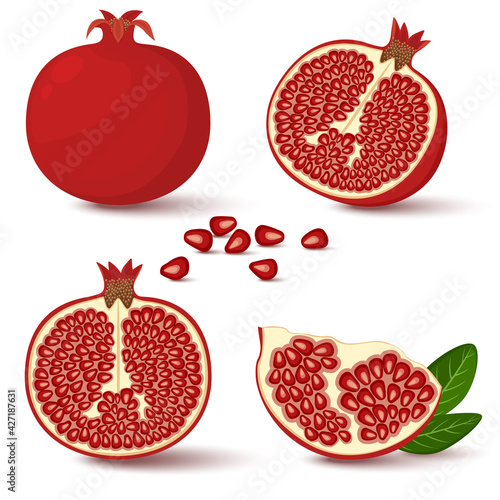 Vector pomegranate, garnet. Whole, half and pomegranate seeds isolated on white background. Illustration in the cartoon style.