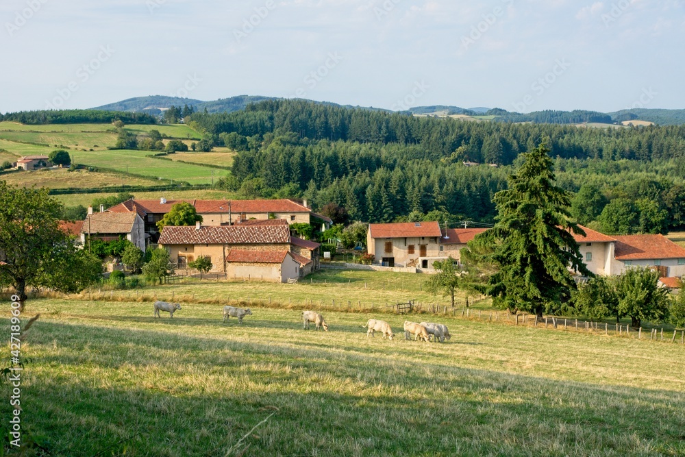 Countryside in the department of Saône-et-Loire in Bourgogne-Franche-Comté in France