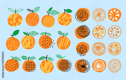 Vector orange set illustration. Hand drawn orange summer collection. Citrus design