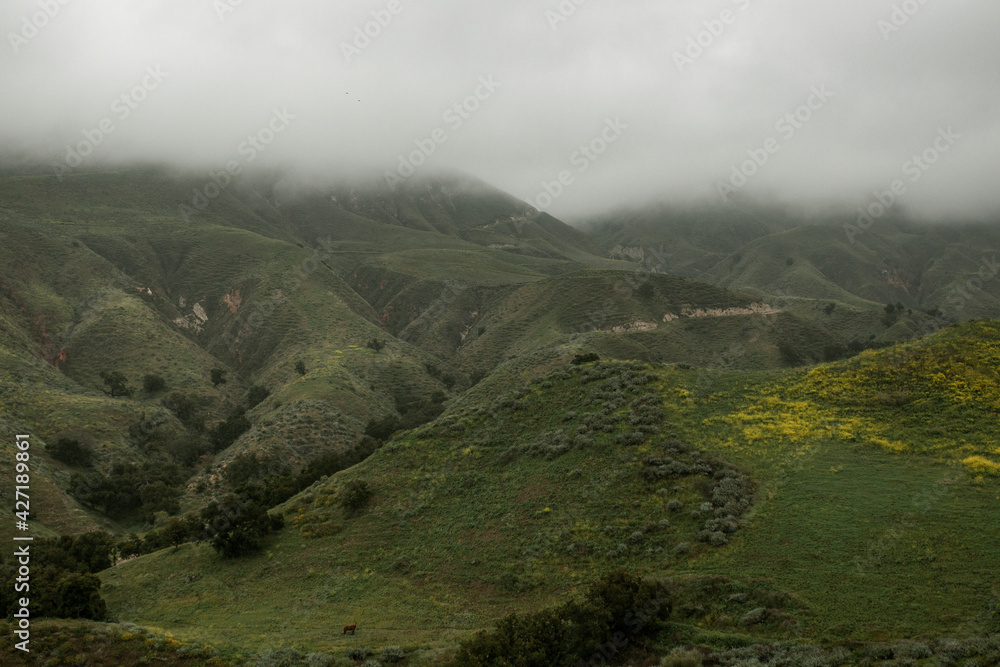 Foggy green mountains background landscape photography