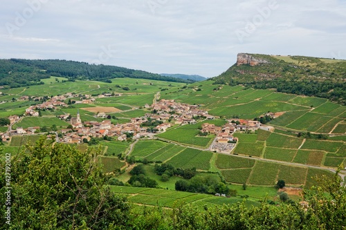 Vineyard in Solutré-Pouilly (Bourgogne) with Roche de Solutré in background photo