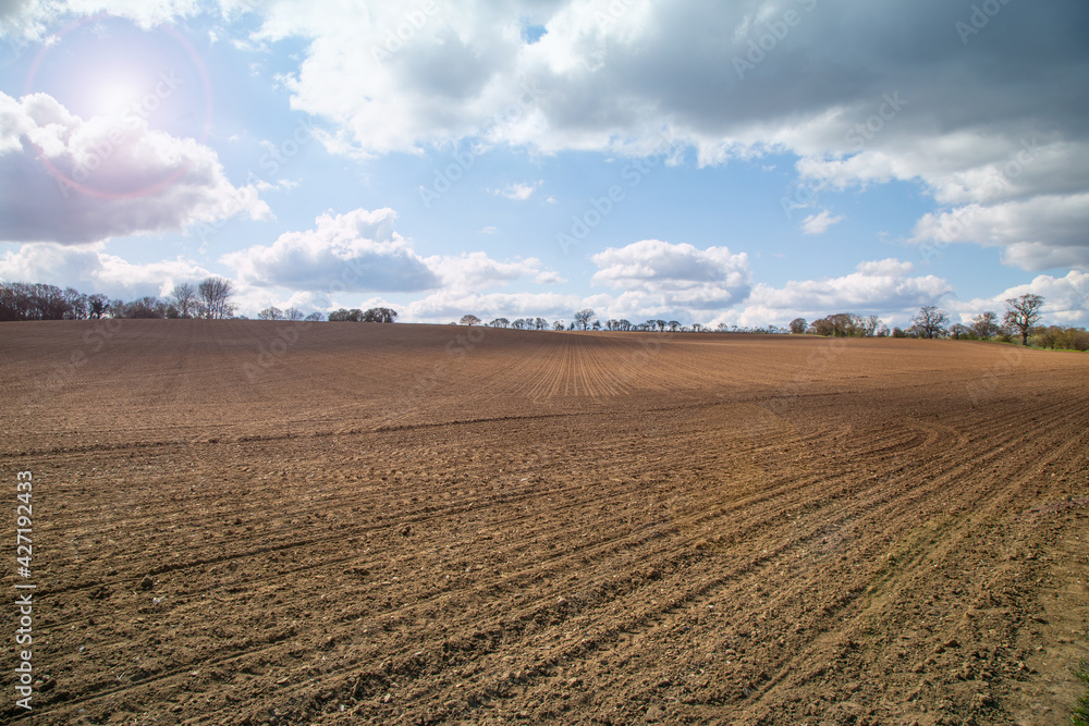 Plowed agricultural spring field during sunny day,