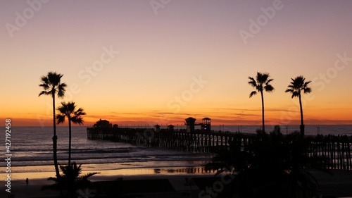 Palms silhouette on twilight sky, California USA, Oceanside pier. Dusk gloaming nightfall atmosphere. Tropical pacific ocean beach, sunset afterglow aesthetic. Dark black palm tree, Los Angeles vibes. © Dogora Sun