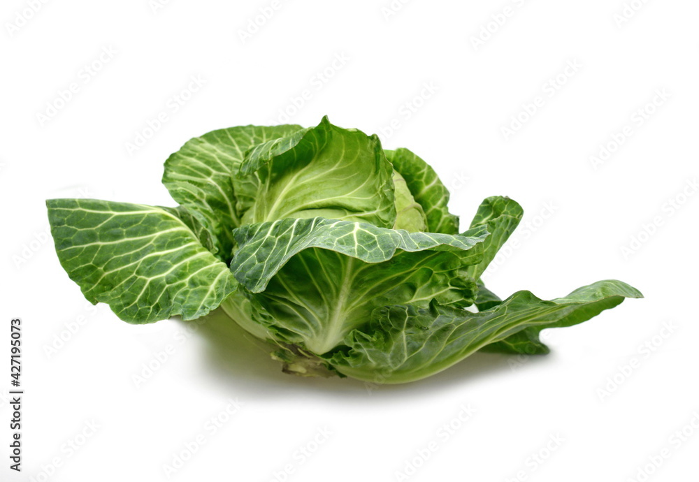 Cabbage isolated on white background. Fresh green cabbage. Cabbage isolated on white background. Fresh green cabbage.