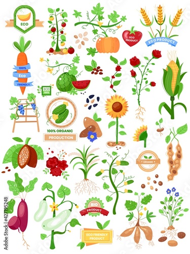 Agriculture elements set, different cultivated plants, wholesome organic food, flat style vector illustration, isolated on white.