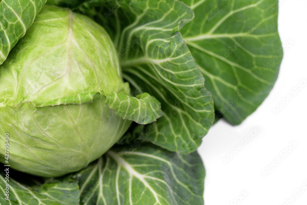 Cabbage isolated on white background. Fresh green cabbage. Cabbage isolated on white background. Fresh green cabbage.
