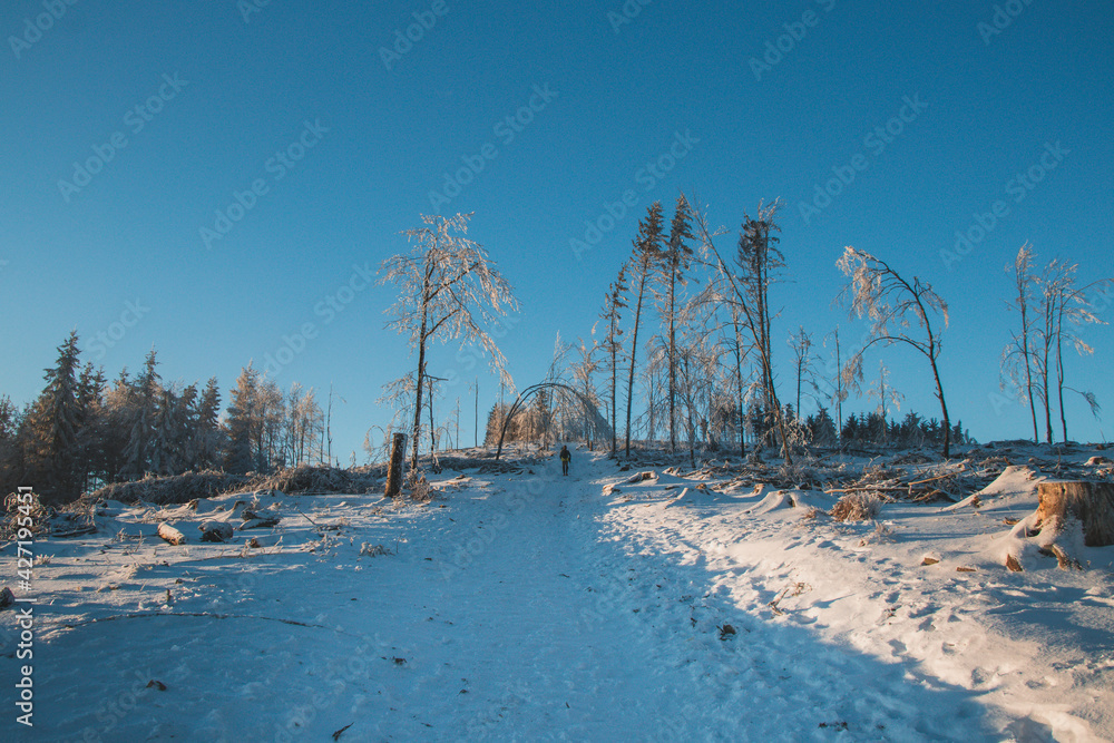 Walk through a beautiful snowy landscape in the Beskydy Mountains in the east of the Czech Republic. A teenager walks under a frozen branch. Blue sky with sunrise and snow