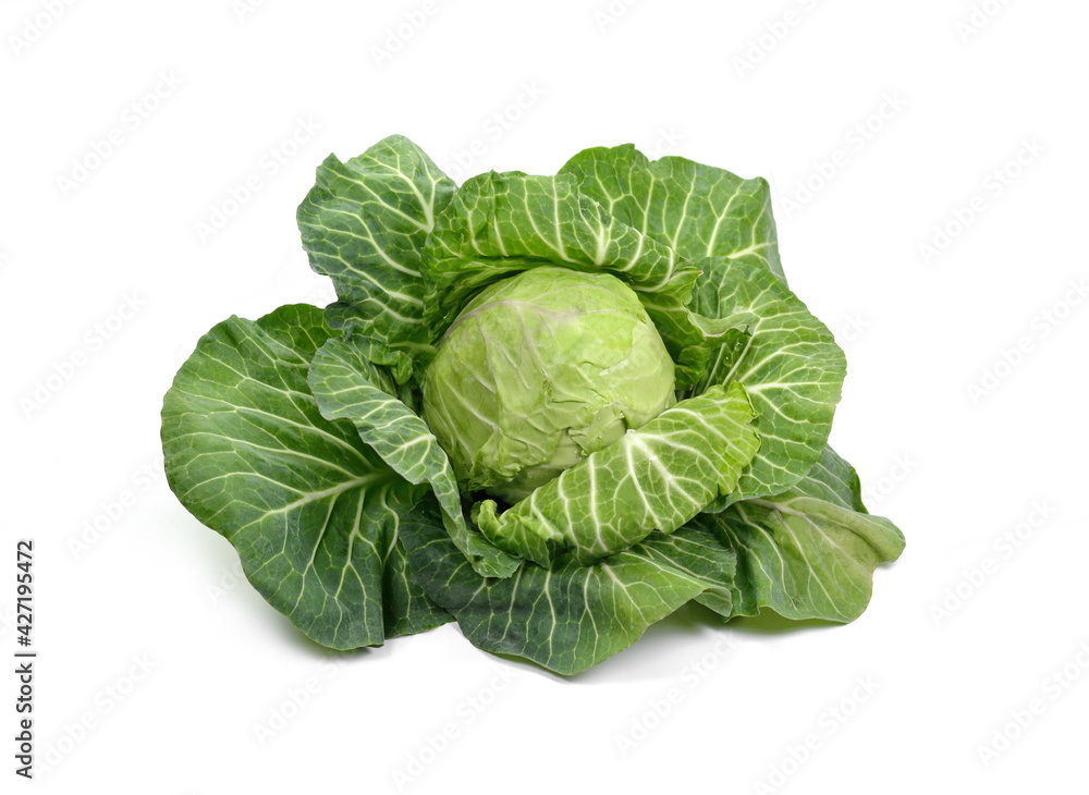 Fototapeta premium Cabbage isolated on white background. Fresh green cabbage.