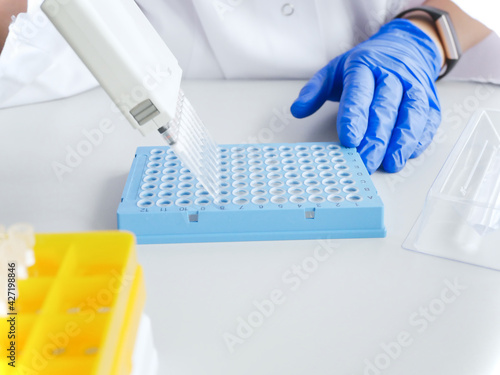 hands of scientist working with multichannel pipette and multi well plates. research technician with multipipette in genetic laboratory. genetic and cancer screening, medical technology and therapy.