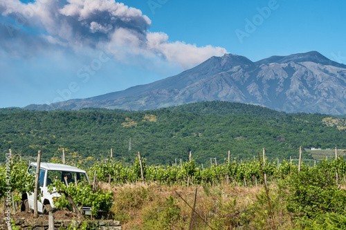 Sicilian vineyards with Etna volcano eruption at background in Sicily, Italy