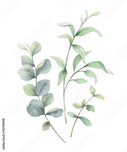 Watercolor vector arrangement of green branches and leaves.