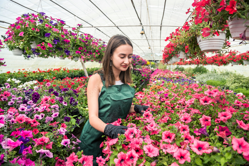 Portrait of young female gardener in apron working with plants in pots in greenhouse