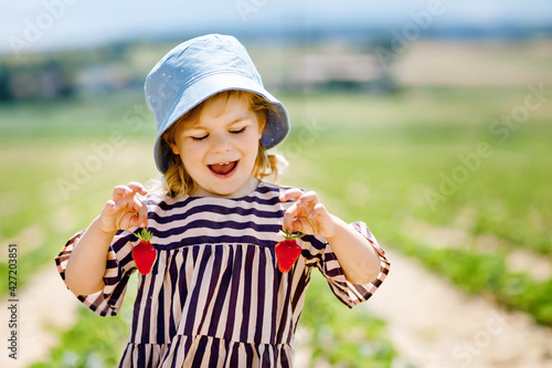 Portrait of happy little toddler girl picking and eating healthy strawberries on organic berry farm in summer, on sunny day. Smiling child. Kid on strawberry plantation field, ripe red berries.