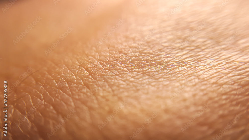 Macro of human skin texture. Woman or girl skin. Dermatology pattern of healthy brown caucasian skin. Close up detail skin Macro of human skin texture. Woman or girl skin. Dermatology pattern of healthy brown caucasian skin. Close up detail skin
