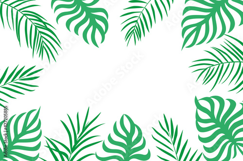 Palm leaves background with copy space on white © sonia_ai