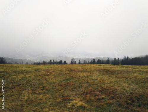 South Polish landscape of trees, green grass and foggy mist against mountains located in bielsko biala, South Poland.