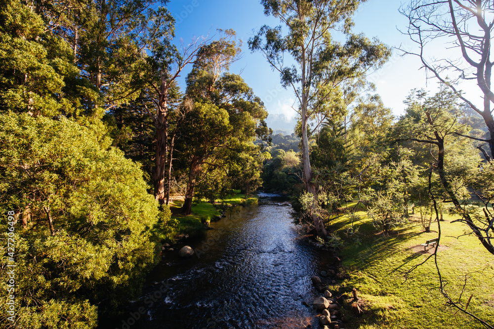 Yarra River View in Warburton Australia