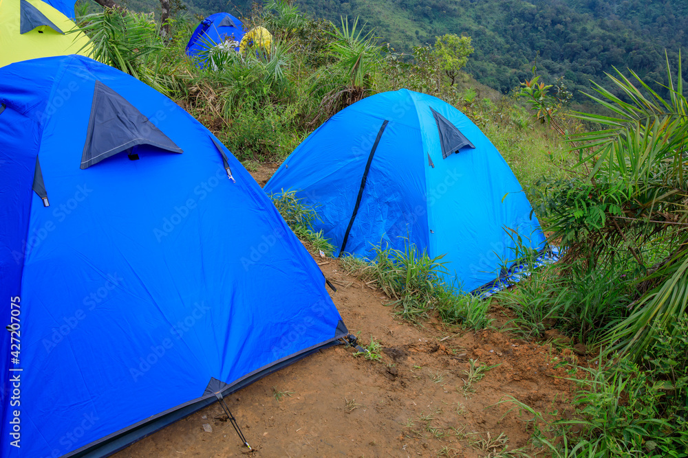 Colorful camping tent on the mountain hill forest.