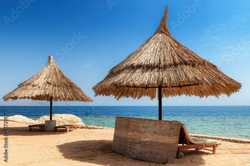 Parasols on tropical coral beach resort in Red Sea  Egypt   Africa.