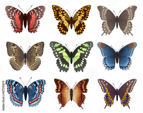 Collection of colored butterflies. vector set. © Avilika