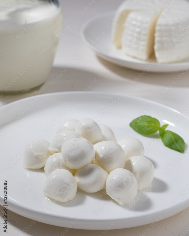 Mozzarella cheese with milk on white background. Mozzarella cheese with milk on white background.