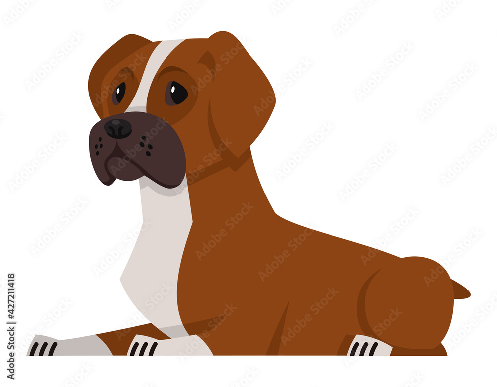 Lying Boxer dog. Beautiful pet in cartoon style. Lying Boxer dog. Beautiful pet in cartoon style.