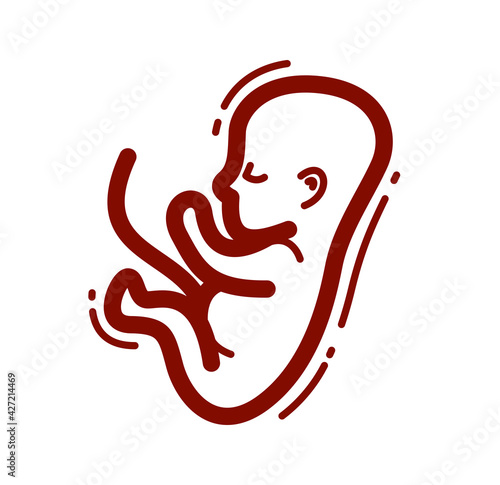 Human fetus embryo womb unborn child vector linear icon isolated on white background.