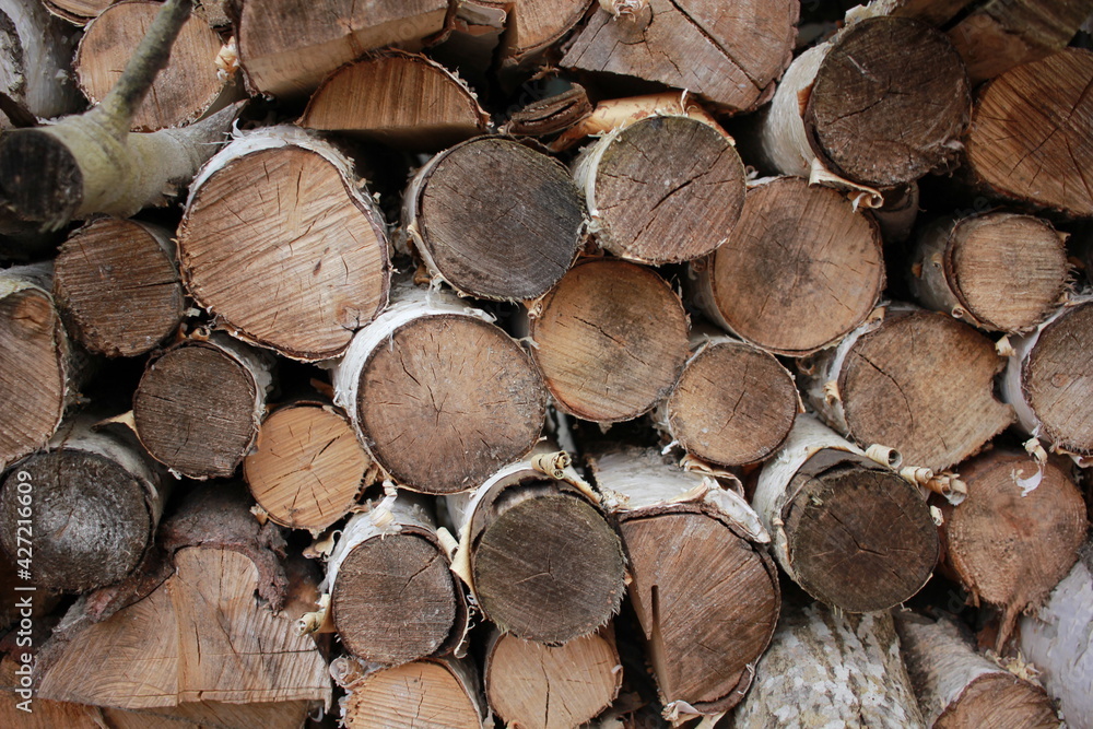 Fototapeta premium stack of firewood