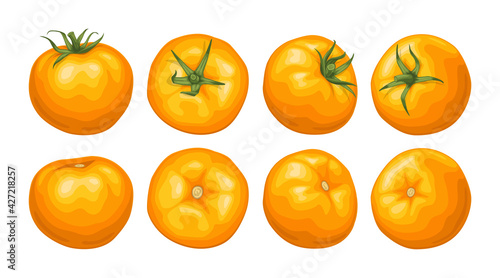 Set of yellow tomatoes. Fresh juicy tomatoes with a green sprig top view, side view.
