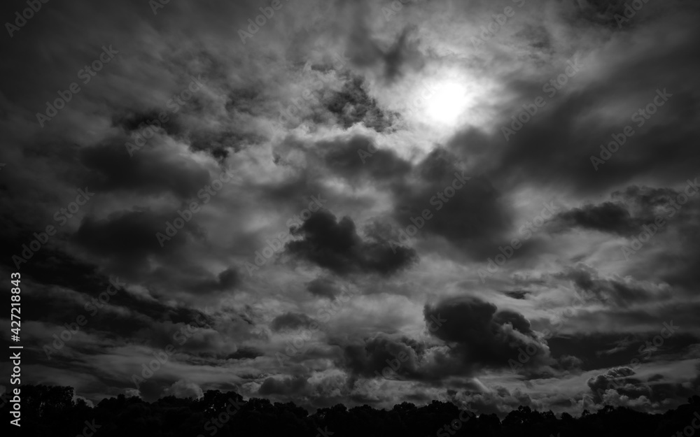 clouds over the forest
