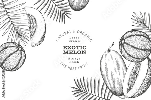 Melons with tropical leaves design template. Hand drawn vector exotic fruit illustration. Retro style fruit banner.