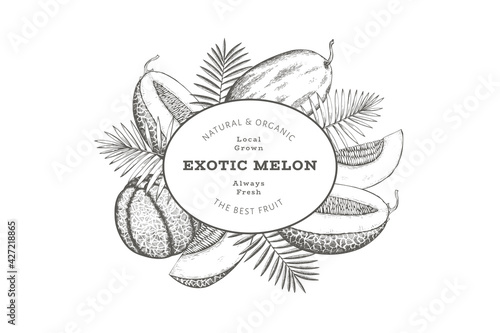 Melons with tropical leaves design template. Hand drawn vector exotic fruit illustration. Retro style fruit banner.
