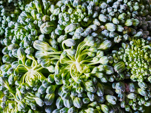 Obraz na płótnie Broccoli macro. w salonie