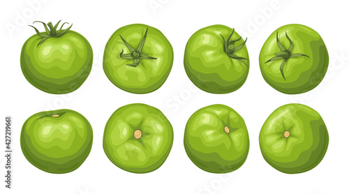 Set of green tomatoes. Fresh tomatoes with a green sprig top view, side view.