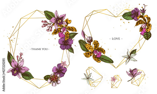 Golden frame with laelia, feijoa flowers, glory bush, papilio torquatus, cinchona, cattleya aclandiae