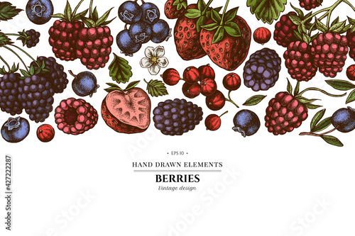 Colored elements design with strawberry, blueberry, red currant, raspberry, blackberry