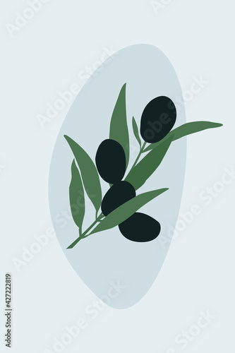 A sprig of olive on a soft blue background.