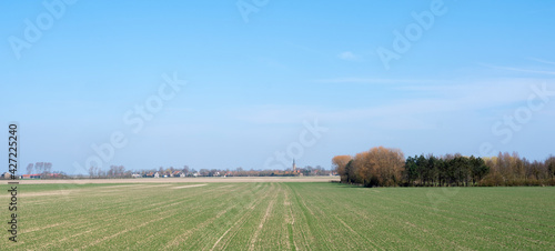 Tableau sur toile field near dreischor on schouwen-duiveland in the netherlands on sunny day in spring
