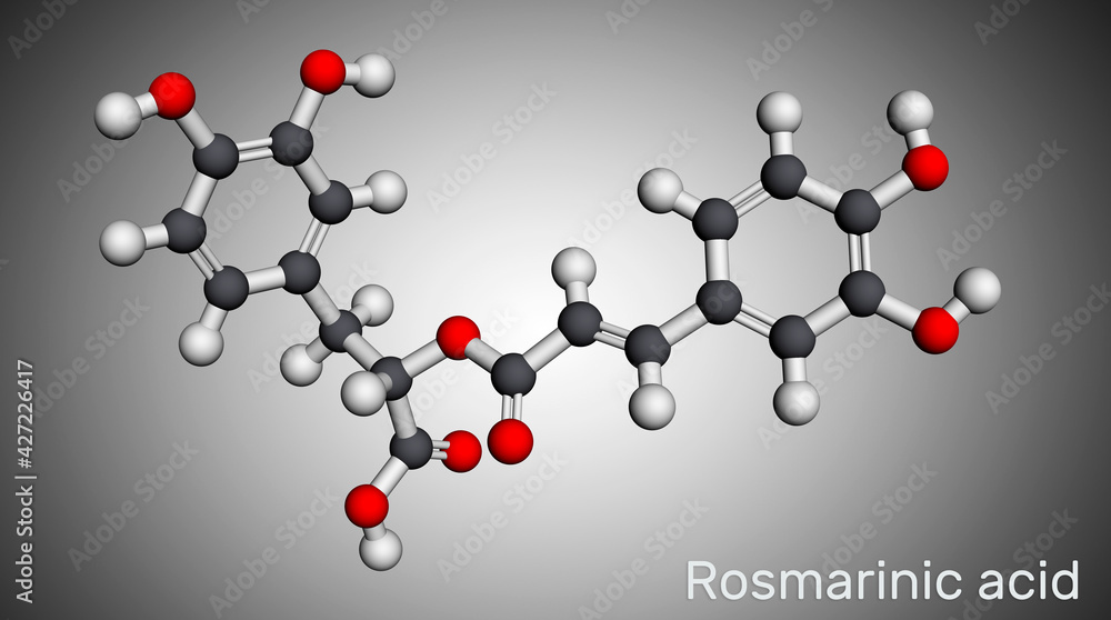 Rosmarinic acid, molecule. It is polyphenol, phenylpropanoid, monocarboxylic acid, non-steroidal anti-inflammatory drug, antioxidant, serine proteinase inhibitor. Molecular model Rosmarinic acid, molecule. It is polyphenol, phenylpropanoid, monocarboxylic acid, non-steroidal anti-inflammatory drug, antioxidant, serine proteinase inhibitor. Molecular model