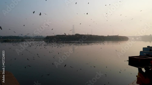 landscape view of yamuna ghat ,delhi,india. photo
